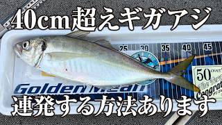 日中にギガアジが釣れまくる恐ろしい釣り | ガッ釣り関西