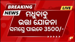 ବଢିଲା ବାର୍ଦ୍ଧକ୍ୟ ଭତ୍ତା/Madhu Babu Pension Yojana Apply Online 2024/apply online Madhu Babu Pension