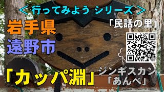 カッパ淵 Kappabuchi｜カッパを捕獲するには、『カッパ捕獲許可証』が必須！｜東野市 Tonocity｜岩手県  Iwate