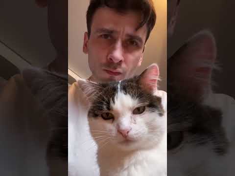 Lifehack Shorts Youtube