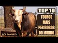 Top 10 Touros de Rodeio Mais Perigosos do Mundo Confira