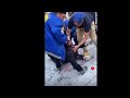 guy with no shame sticks finger up a dogs *** while pit bull attacks yet again