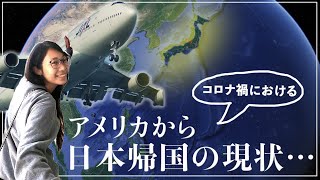 そろそろ日本に帰りたい🇯🇵!!｜JFKから羽田までの道程すべて見せます｜一時帰国希望者必見