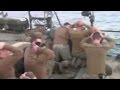 Iran releases video of US sailors on their knees