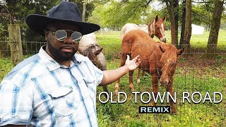 Old Town Road Remix [Lil Nas X & Billy Ray Cyrus Inspired Music ] #NemRaps