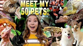 Meet All Of My Pets! 50+ Animals!