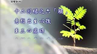 證嚴法師《靜思晨語十二因緣》2