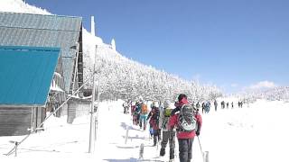 北八ヶ岳の縞枯山荘in雪の晴天日にて