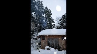 ＃25　日本海に程近い田舎に住む雪景色です