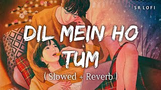 Dil Mein Ho Tum (Slowed + Reverb) | Armaan Malik | Why Cheat India | SR Lofi