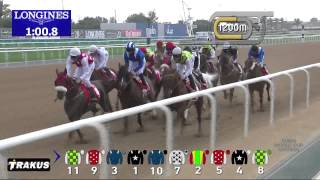 07.03.2015 Meydan (Dubai/UAE) 1.Race Arabian Challenge - Group I 2.000 m