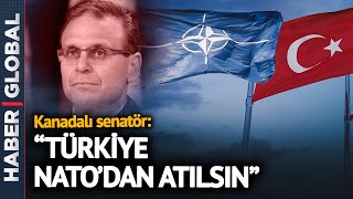 Kanadalı Senatör: "Türkiye NATO'dan Atılsın"