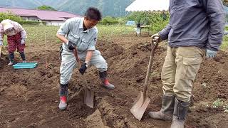 井戸尻考古館による曽利遺跡発掘の様子_NO2