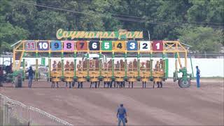 Caymanas Highlights - May 3, 2021 | SportsMax TV