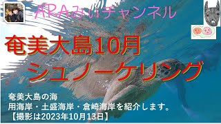 奄美大島　用海岸・土盛海岸・倉崎海岸　シュノーケリング