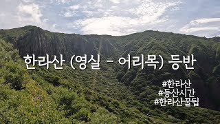 6월 한라산 (영실-어리목) 등반하기 #한라산 #영실코스 #어리목코스 #한라산등반꿀팁