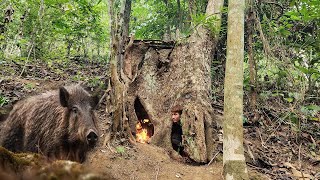 4 Days of Camping, Survival in the Jungle, Building a Shelter to Avoid Wild Boars