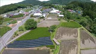 【奥久慈茶】 富田園