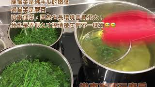 變東變西玩廚房影音紀錄簿～過貓菜 過溝菜蕨 不變黑的處理方式 過貓沙拉吐司