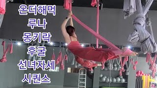 온더해먹 루나 몽키락 후굴 선녀자세시퀀스  [요가꿈나무](플라잉요가,flyingyoga,aerialyoga)