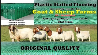 Plastic slatted floor for goat \u0026 sheep farms