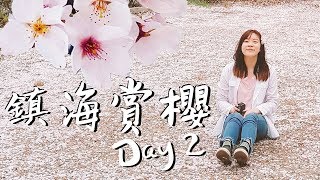 [韓國vlog] 韓國深度遊 - 鎮海軍港節賞櫻花 Day 2 - 慶和火車站 경화역, 安民路 안민도로