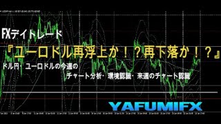 【Weekly】ドル円・ユーロドルの今週のチャート分析・環境認識・来週のチャート予想『ユーロドル再浮上か！？再下落か！？』