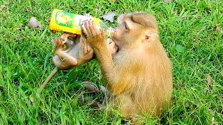 Absolutely amazing! Young mum Rose and her son Rex drinking together for the same time.