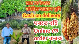 মাত্ৰ 70 টকাত  হাইব্ৰিড তামোল পুলি পাব ,Cash on delivery 🚚 ঘৰতে বহি অনলাইন ত order কৰক, ধেমাজি