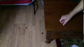 Projectile Motion with two coins