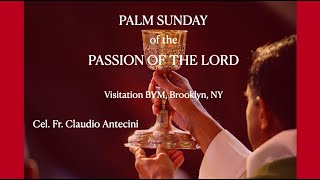 PALM SUNDAY of the PASSION OF THE LORD (Visitation BVM) Fr. Claudio Antecini