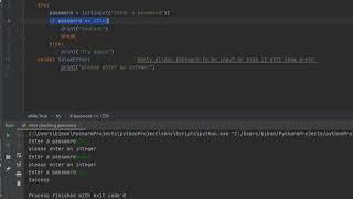 pincode/password integer input only Python Programming