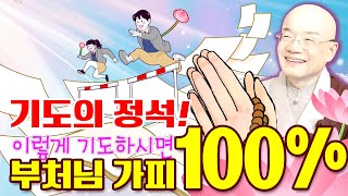 이렇게 기도하시면 100% 부처님 가피 입습니다