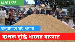 14 January 2025 আজকের ধানের বাজার দর | paddy rice market price rates in pabna Bangladesh