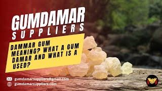 DAMMAR GUM MEANING? What a Gum Damar and what is a used?