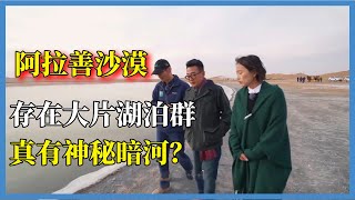 干旱的阿拉善沙漠，卻存在大片湖泊群，難道真有神秘暗河？#窦文涛#脱口秀#真人秀#锵锵行天下#锵锵三人行#锵锵行天下