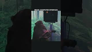Brain Computer Interface The Future Of Technology To Human Body