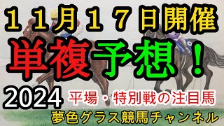 【単複平場予想】2024年11月17日JRA平場戦！大穴狙いの霜月ステークス、そして福島民友カップ含む平場・特別戦を楽しむ12頭！