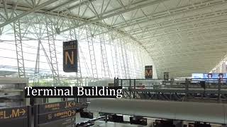 Truss roofing system for large span terminal buildings