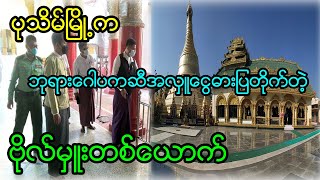 အပါယ်လားမှာလည်းမကြောက်ကြတော့့ဘူး