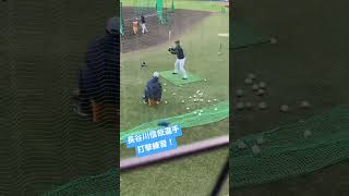 長谷川信哉選手打撃練習 #埼玉西武ライオンズ #春野キャンプ