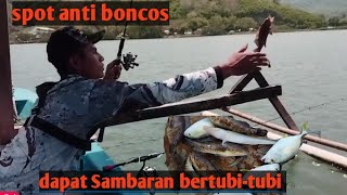 Mancing dasaran umpan udang hidup di spot ini,, GACORNYA luar biasa@AnglerYonk #mancingdasaran