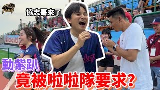 【CPBL中華職棒】年度大趴動紫趴！樂天女孩哭成一團？56不能亡！現場聽孫協志唱我難過！​⁠@RakutenMonkeys 【豹子腿方昶詠】#棒球 #動紫趴