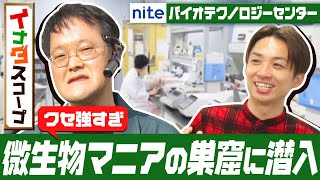 アインシュタインのイナダスコープ【NBRC編】