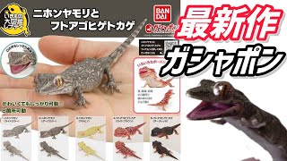 【ガチャガチャ】いきもの大図鑑レプティ『ニホンヤモリとフトアゴヒゲトカゲ』【最新作】開封\u0026レビューします。【＠BANDAI】＃Capsuletoys