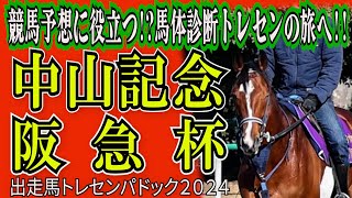 競馬予想・馬体診断トレセンの旅へ! ! 【中山記念(GⅡ)】・【阪急杯(GⅢ)】　出走馬(確定)トレセンパドック2024