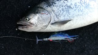 ActionDiscs - Trolling flies and Hoochies for Silver Salmon - Puget Sound