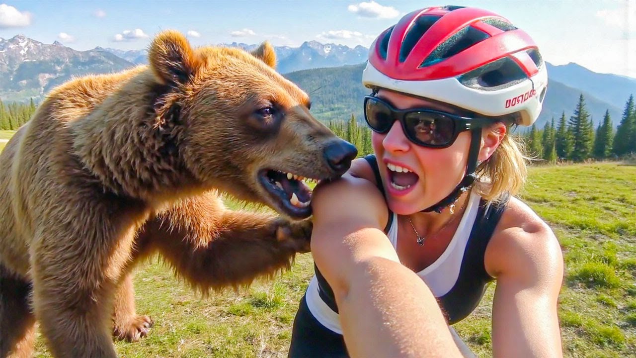 7 Craziest Animal Encounters Caught On Camera Youtube