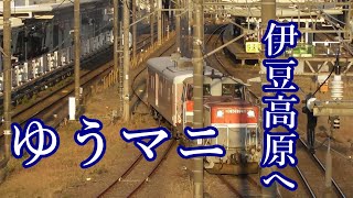 【伊豆急行,そしてJR北海道へ】ゆうマニ (マニ50 2186) 甲種輸送発車 (東急➡伊豆高原)