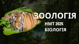 Уся Зоологія для НМТ 2025 з біології